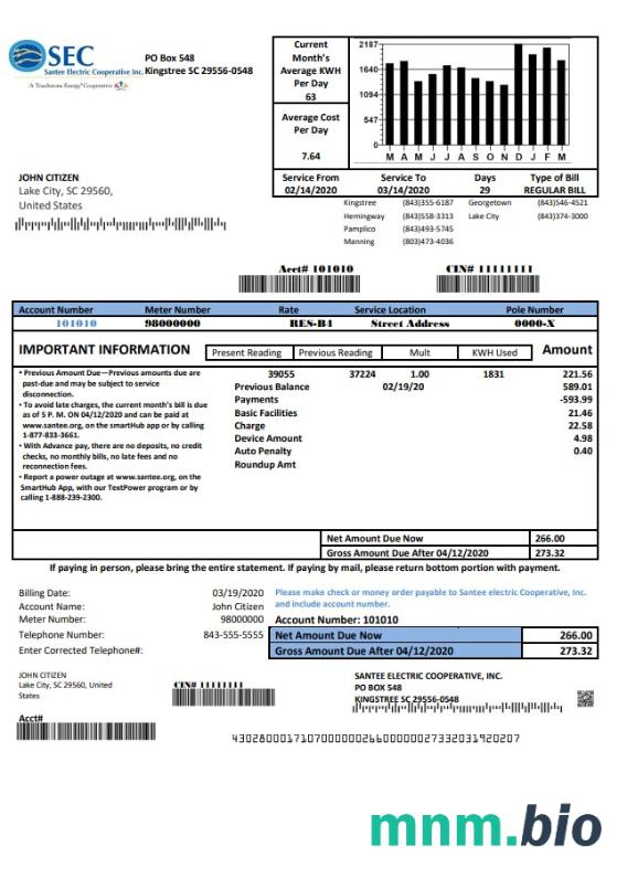 USA South Carolina Santee Electric Cooperative (SEC) dowód adresu szablon rachunku za media w formacie Word i PDF